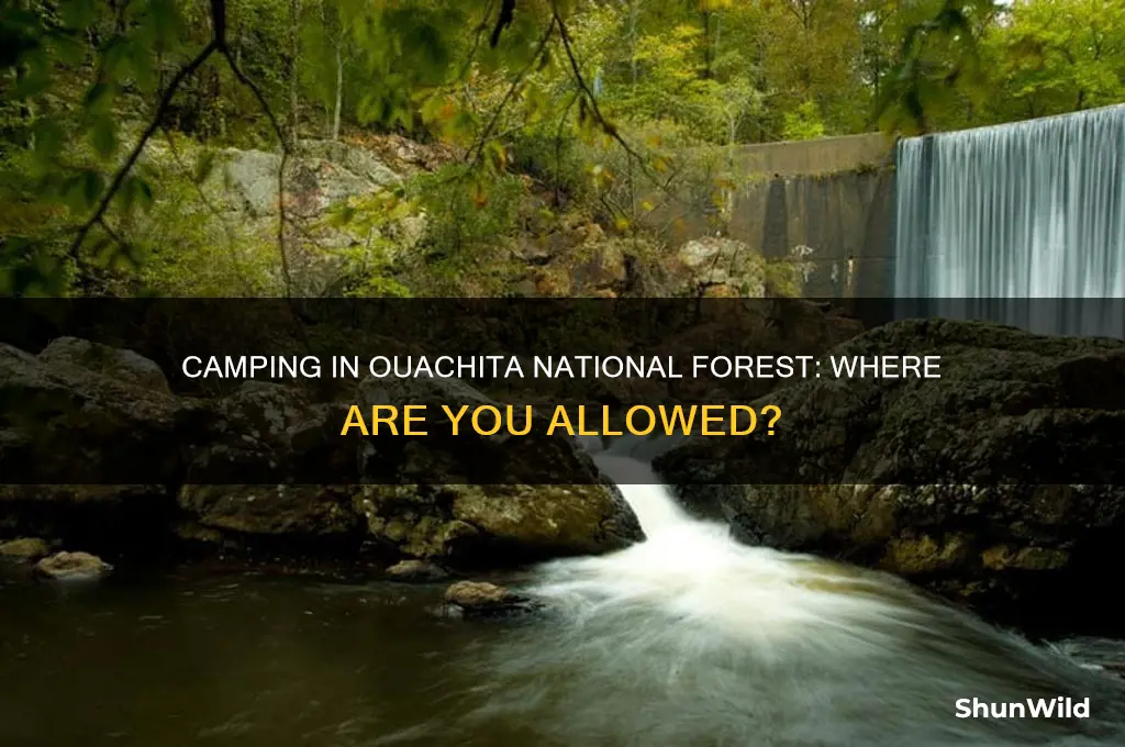 can i camp anywhere in the ouachita national forest