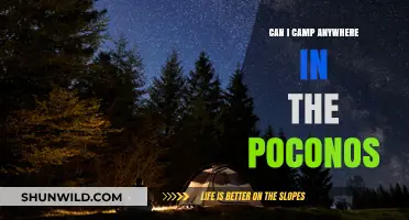 Camping in the Poconos: Where and How to Set Up Camp