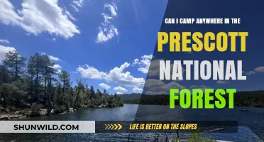 Camping in Prescott National Forest: Rules, Locations, and Tips