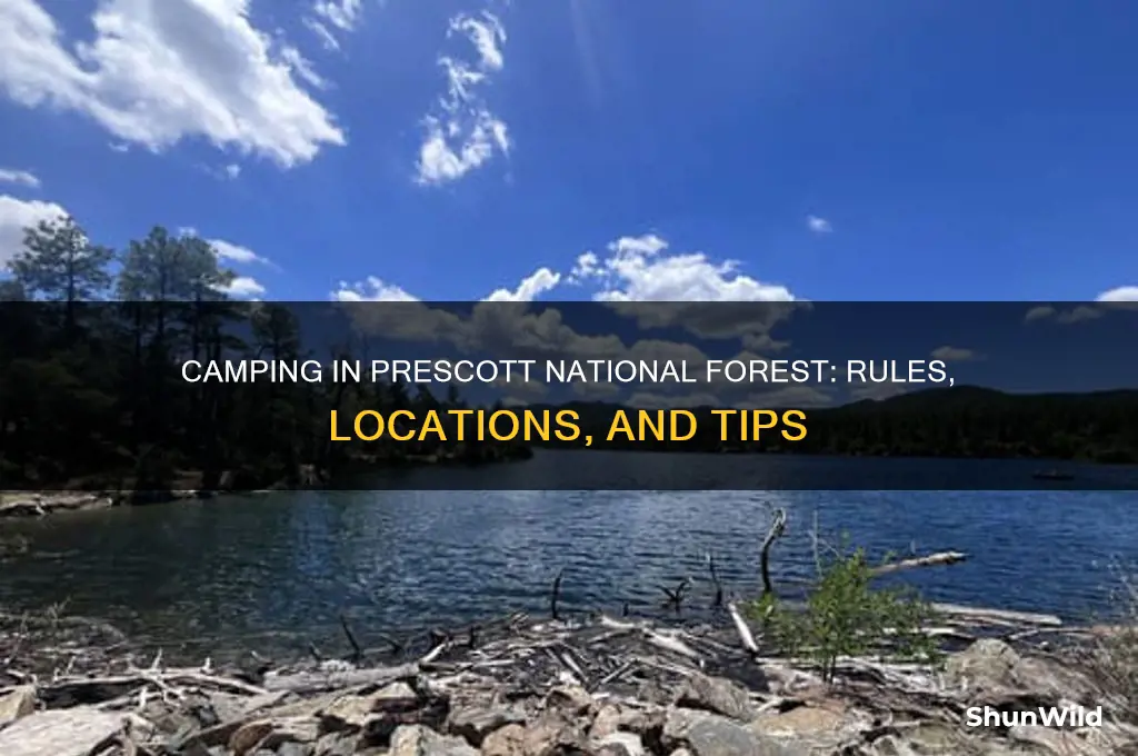 can i camp anywhere in the prescott national forest