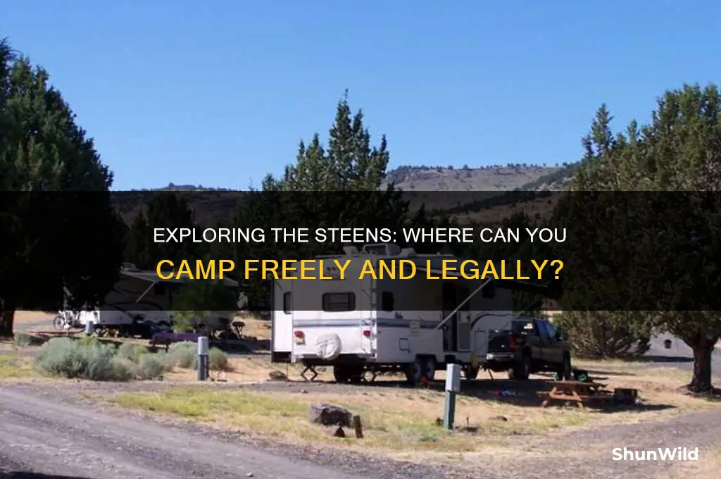 can i camp anywhere in the steens