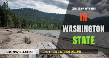 Camping in Washington State: Where Are You Allowed to Set Up?