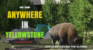 Camping in Yellowstone: Rules, Permits, and Best Spots to Stay