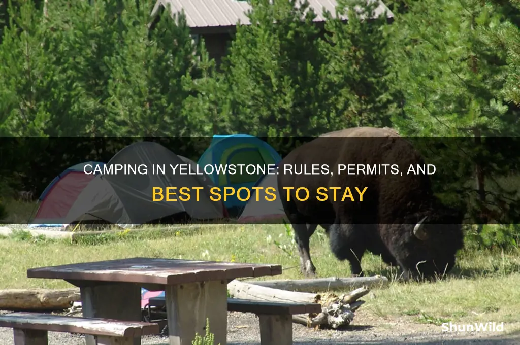 can i camp anywhere in yellowstone