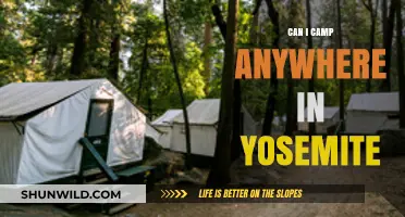 Where to Camp in Yosemite: Rules, Permits, and Best Spots