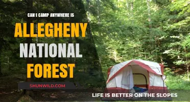 Camping in Allegheny National Forest: Rules, Locations, and Tips