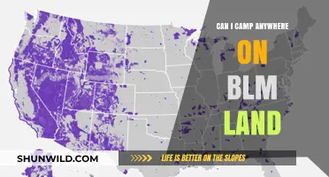 Camping on BLM Land: Rules, Tips, and Best Practices