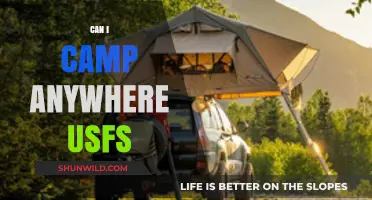 Can You Camp Anywhere on USFS Land? Rules and Tips