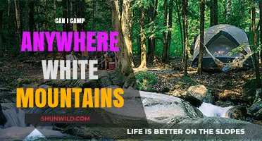 Camping in the White Mountains: Where Are You Allowed to Set Up?