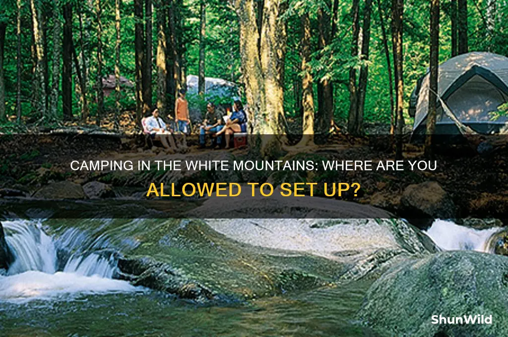 can i camp anywhere white mountains