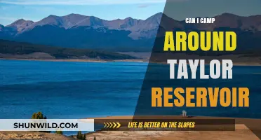 Camping at Taylor Reservoir: Tips, Rules, and Best Spots