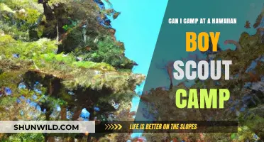 Camping at Hawaiian Boy Scout Camps: What You Need to Know