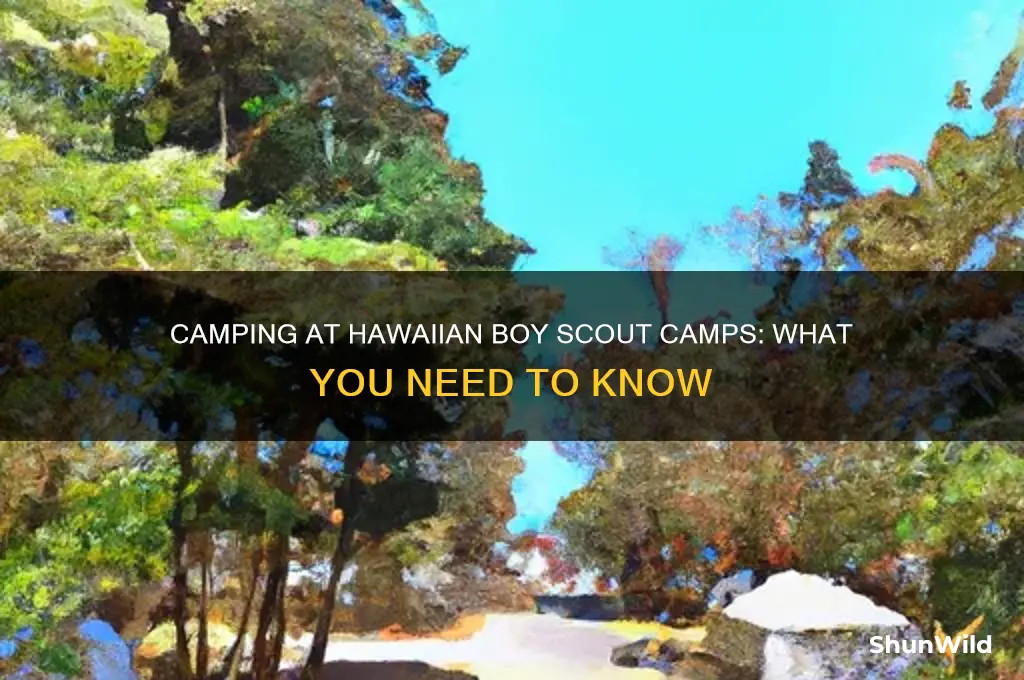 can i camp at a hawaiian boy scout camp