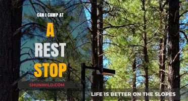Can You Camp at a Rest Stop? Rules and Alternatives Explained