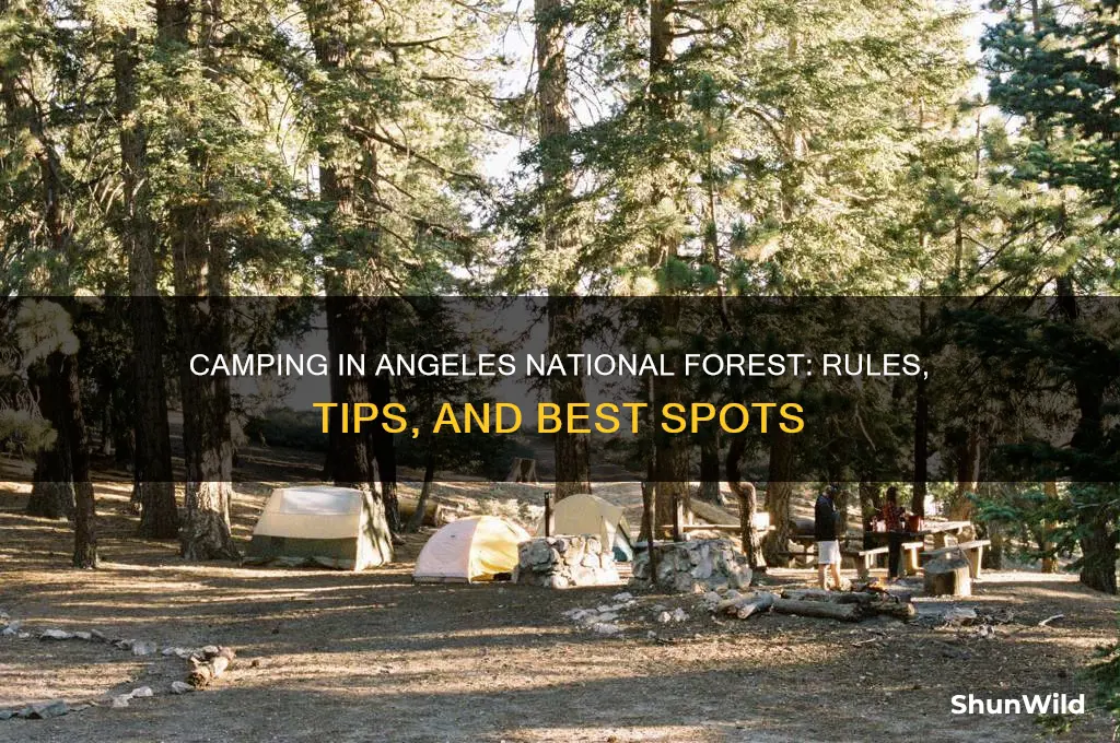 can i camp at angeles national forest