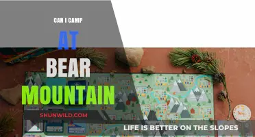 Camping at Bear Mountain: Tips, Rules, and What to Expect