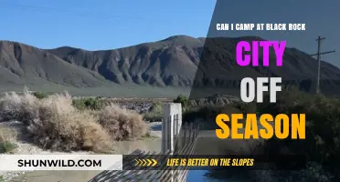 Off-Season Camping at Black Rock City: What You Need to Know