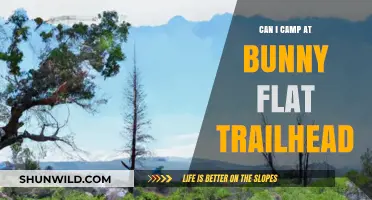 Camping at Bunny Flat Trailhead: What You Need to Know