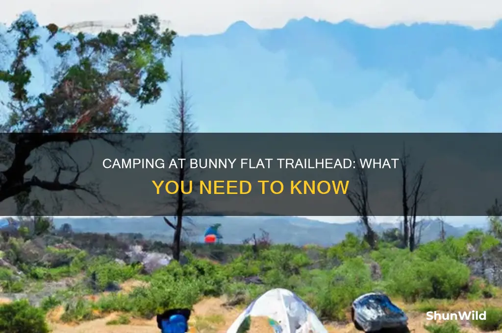 can i camp at bunny flat trailhead
