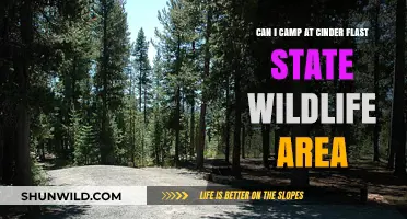 Camping at Cinder Flat State Wildlife Area: Rules and Tips