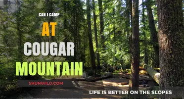 Exploring Cougar Mountain: Camping Options and Outdoor Adventures