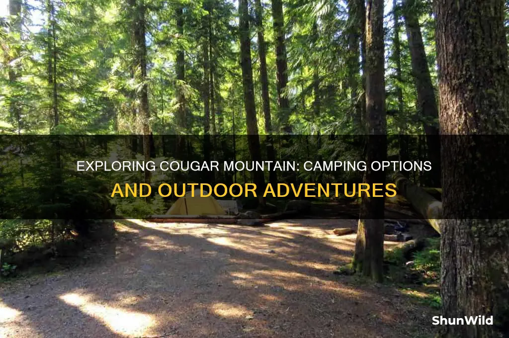 can i camp at cougar mountain