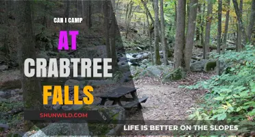 Camping at Crabtree Falls: Rules, Tips, and What to Expect