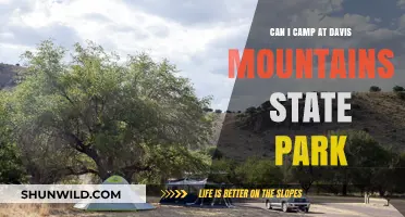 Camping at Davis Mountains State Park: What You Need to Know