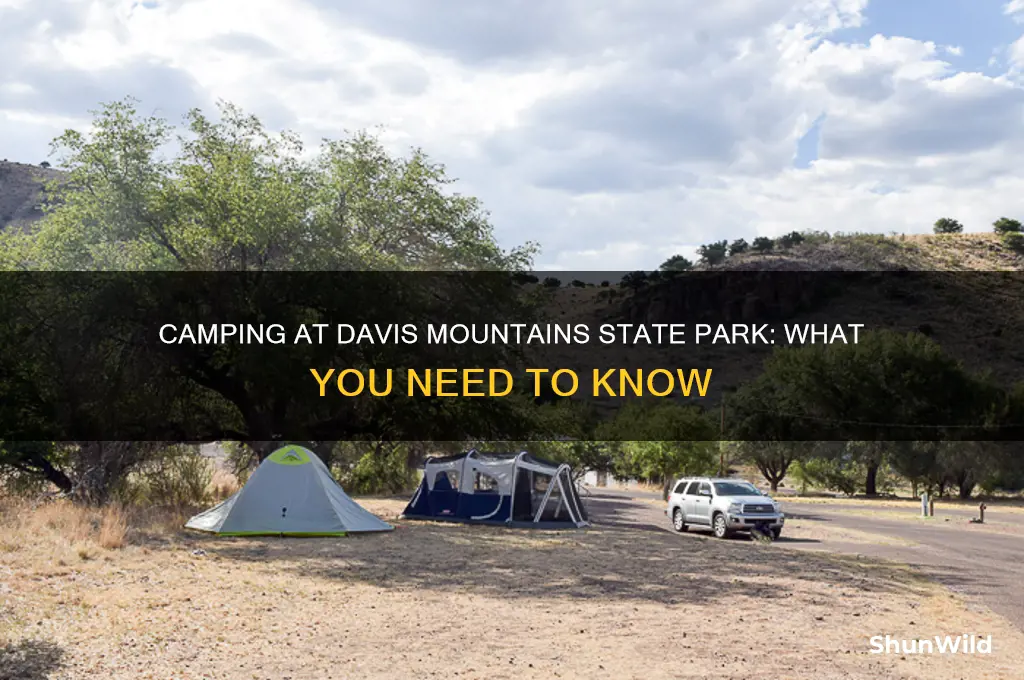 can i camp at davis mountains state park