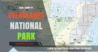 Camping in the Everglades: A Guide to National Park Adventures