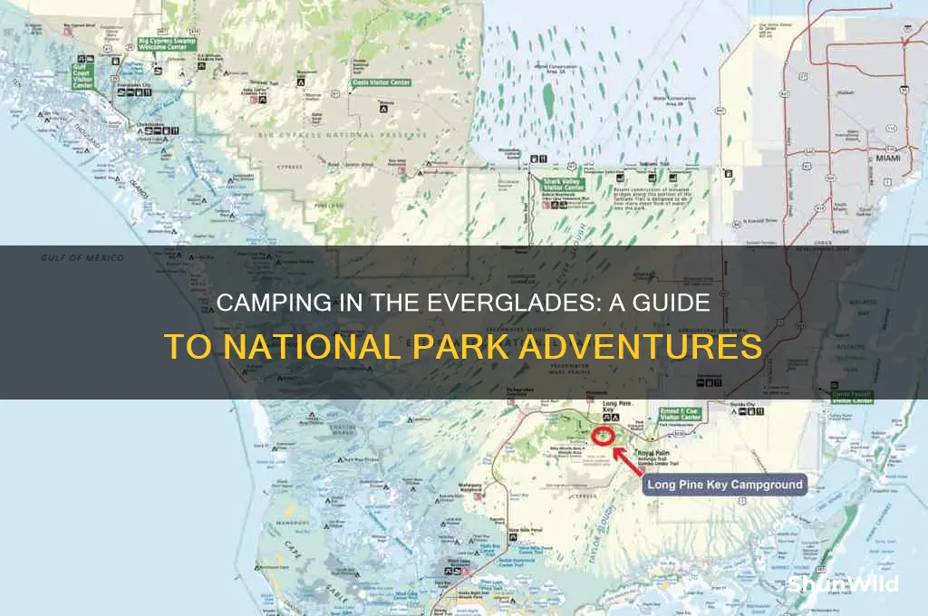 can i camp at everglades national park