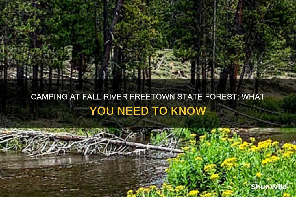 can i camp at fall river freetown state forest