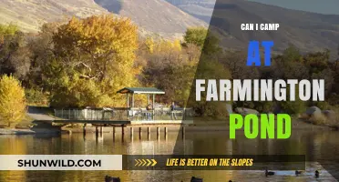 Camping at Farmington Pond: Rules, Tips, and What to Expect