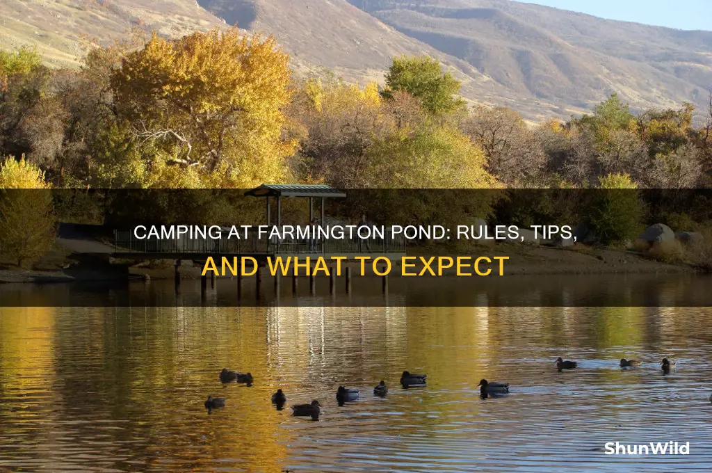 can i camp at farmington pond