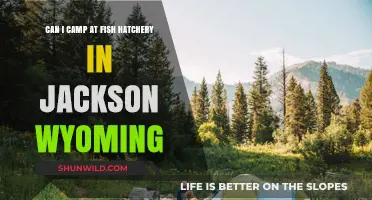 Camping at Jackson Wyoming's Fish Hatchery: Rules and Possibilities