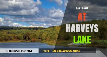 Camping at Harveys Lake: Rules, Tips, and What to Expect