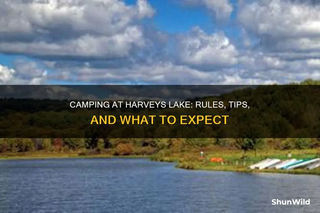 can i camp at harveys lake