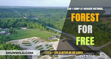 Free Camping in Hoosier National Forest: What You Need to Know