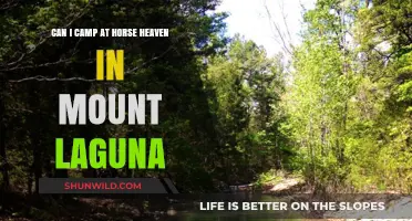 Camping at Horse Heaven: A Mount Laguna Adventure Guide