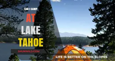 Camping at Lake Tahoe: Essential Tips, Best Spots, and Rules