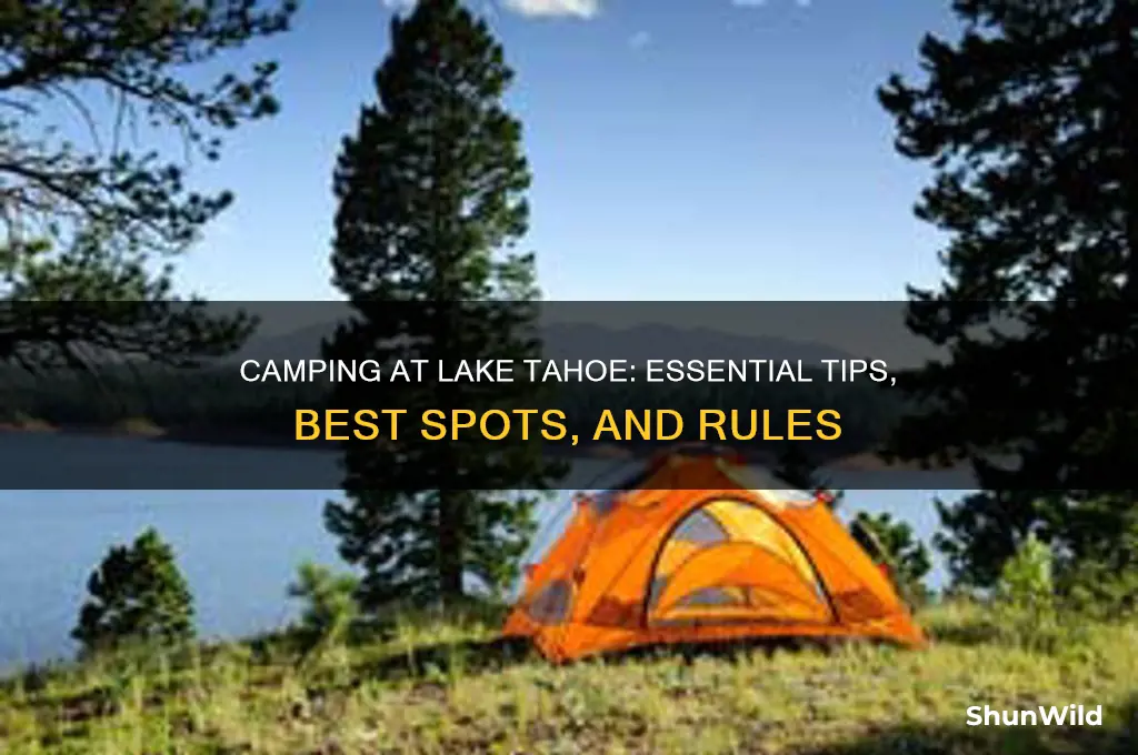 can i camp at lake tahoe