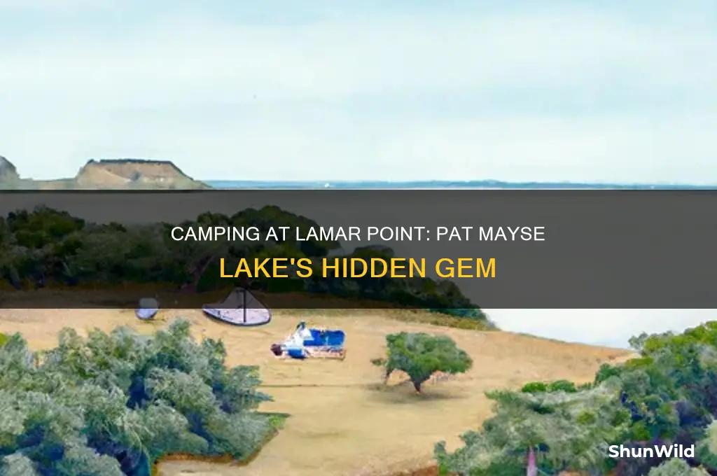 can i camp at lamar point on pat mayse lake