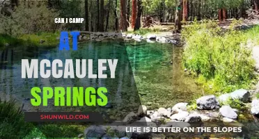 Exploring McCauley Springs: Camping Options and What You Need to Know