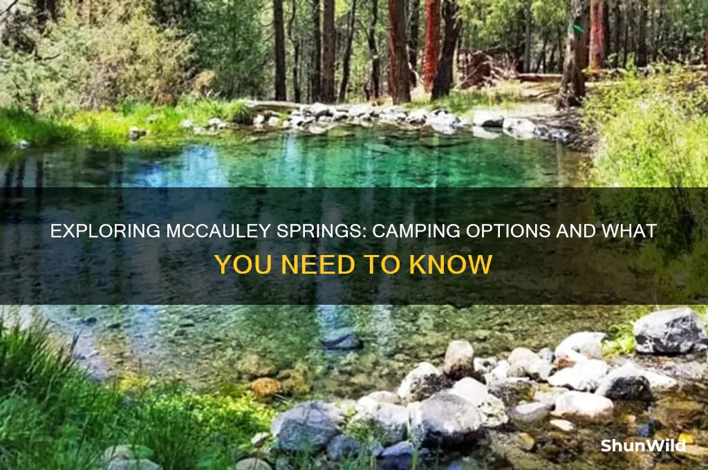 can i camp at mccauley springs