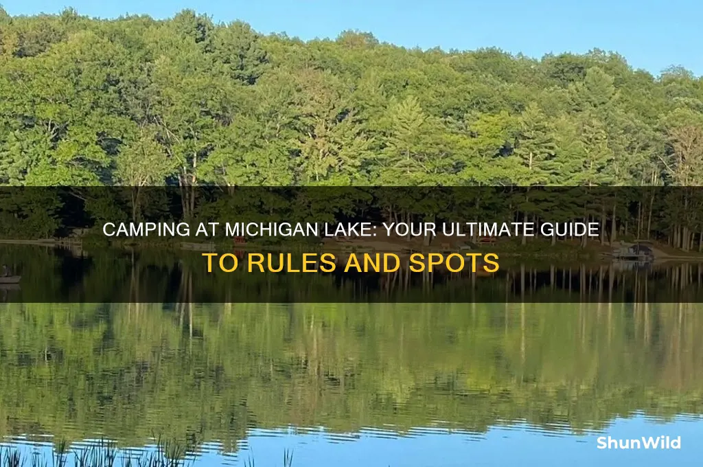 can i camp at michigan lake