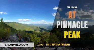 Camping at Pinnacle Peak: Rules, Tips, and What You Need to Know