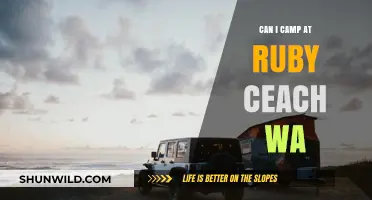 Camping at Ruby Beach, WA: Rules, Tips, and What to Expect
