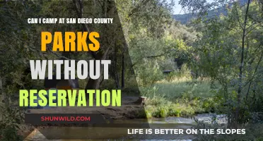 Camping in San Diego County Parks: Reservation-Free Options Explored