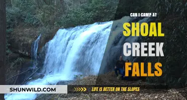 Camping at Shoal Creek Falls: What You Need to Know