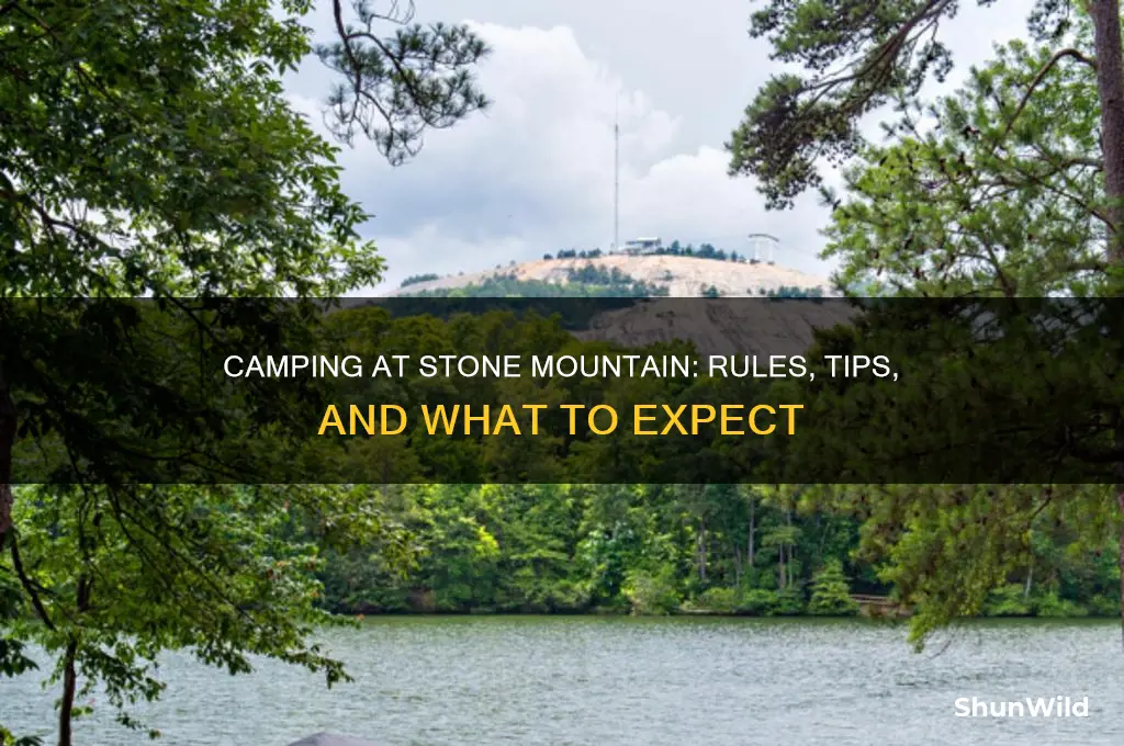 can i camp at stone mountain